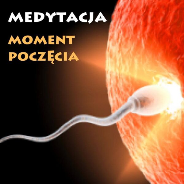 Medytacja - Moment Poczęcia